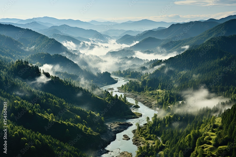 A view from a height of a mountain peak with green trees in the fog. Aerial view. Panoramic shot