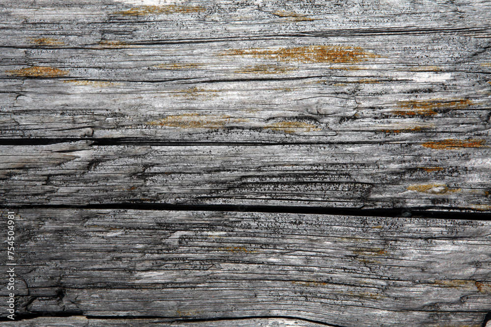 Wood on the beach - Victoria - British Columbia - Canada Wood on the beach - Victoria - British Columbia - Canada
