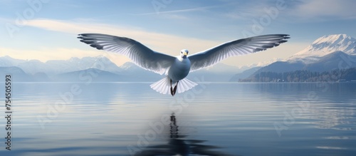 A large white bird is seen gracefully flying over the clear waters of Lake Geneva  with its wings spread wide as it soars through the sky.