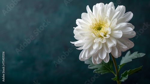 White Flower Funeral Background with Copy Space, Generative AI photo