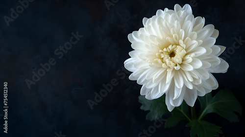 White Flower Funeral Background with Copy Space, Generative AI photo