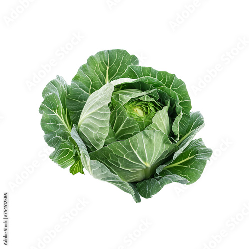 fresh green cabbage isolated on white background. transparent png. ai generative
