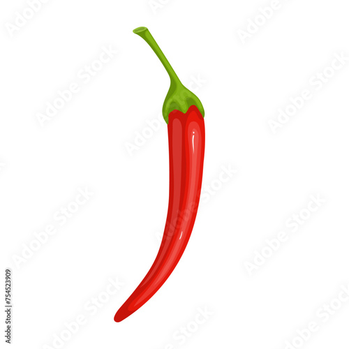 Pod of hot, burning chili pepper. Ripe vegetables. Vector graphics