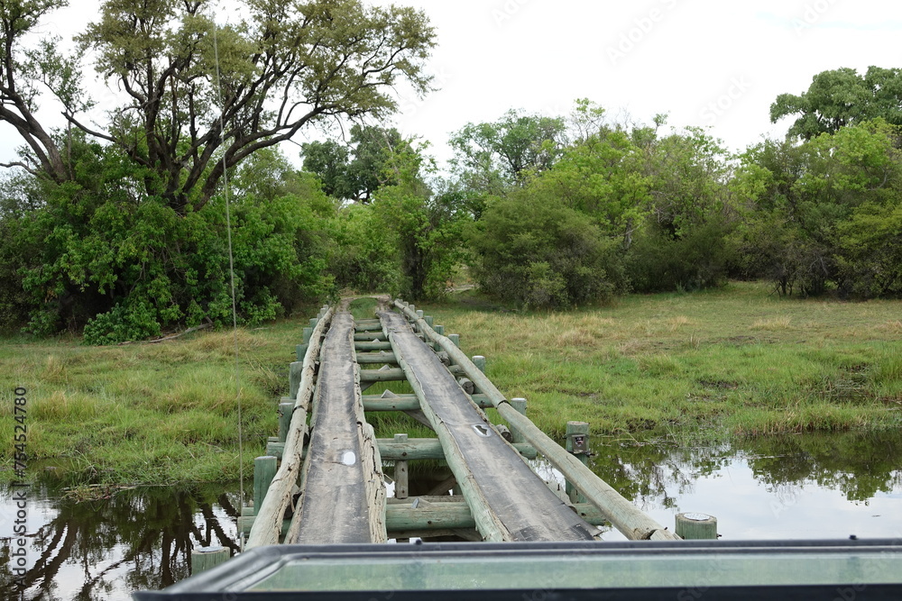 Landscape in the Okavango Delta on Safari Landscape in the Okavango Delta on Safari