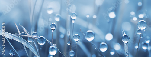 Close-up of delicate dew drops on thin grass blades against blurred background in cool blue tones.