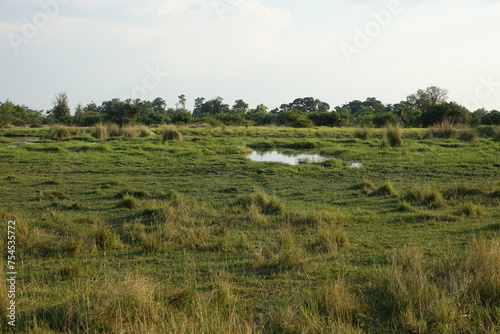 Landscape of the Okavango Delta
