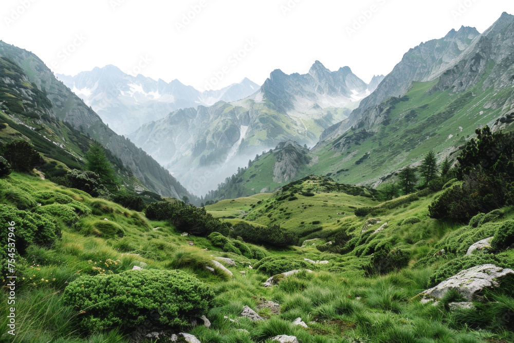 Green alpine meadows and rugged mountain peaks in serene scenery, cut out - stock png.