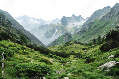 Green alpine meadows and rugged mountain peaks in serene scenery, cut out - stock png. © Mr. Stocker