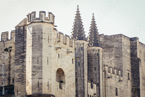 Palais des Papes - Palace of the Popes in Avignon city, France photo