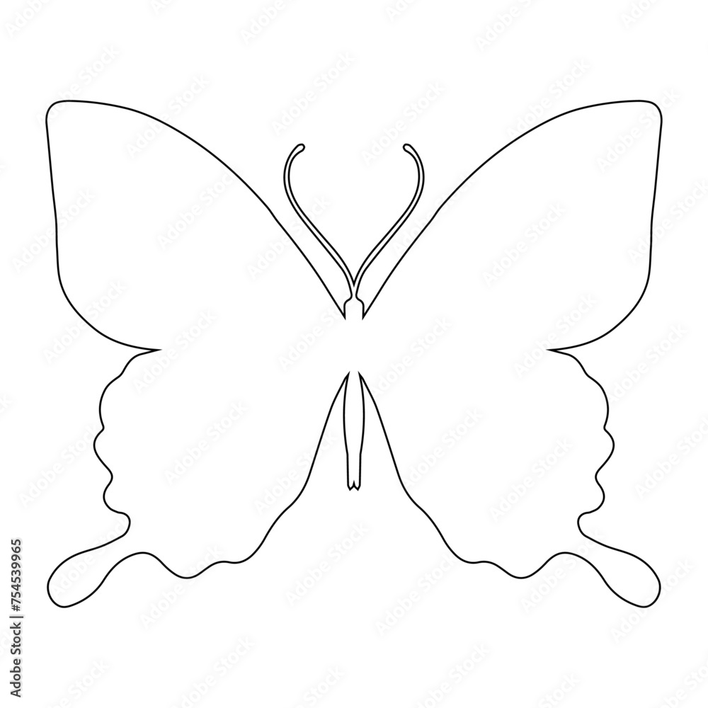 Outline of a butterfly insect. Vector graphics. Outline of a butterfly insect. Vector graphics.