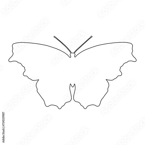 Outline of a butterfly insect. Vector graphics.