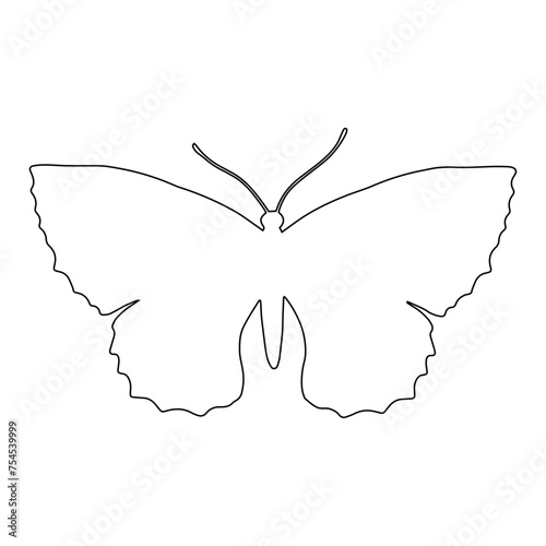 Outline of a butterfly insect. Vector graphics.