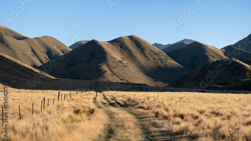 New Zealand mountain landscape near Queenstown on a farm with animals