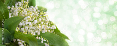 Lily of the valley,blooming spring flowers,bouquet with place for text on bokeh background,horizontal background, banner