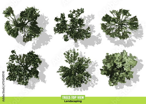 Trees top view collection on white background. Landscaping illustration
