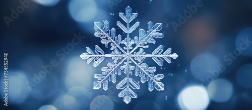 Beautiful Snowflakes Falling in Winter Wonderland Festively Decorating Nature © Ilgun