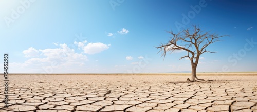 Desolate Arid Landscape with Cracked Dry Ground and Scorching Sunlight photo