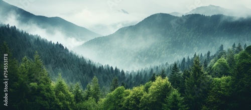 Majestic Forest Landscape with Distant Mountain Range and Lush Greenery