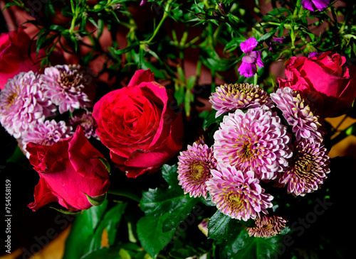 Fototapeta Naklejka Na Ścianę i Meble -  bukiet kwiatów w białym wazonie, czerwone róze i różowe chryznatemy, Dendranthema or Chrysanthemum, Rosa, Chrysanthemum and rose in a vase, flower bouquet with chrysanthemums and roses, flower bouquet