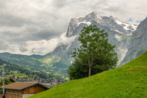 View on Grindelwald with alpine meadow in the foreground and the majestic Mittelhorn mountain in the background. Cloudy summer day before the storm is coming. Swiss alpine mountain view. photo