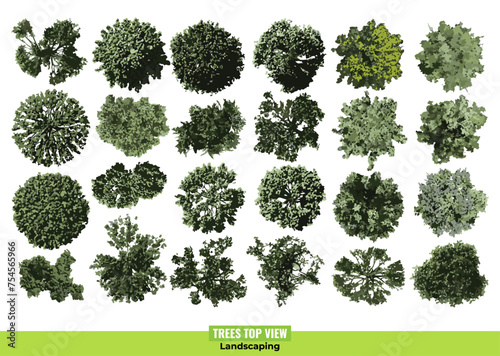Trees top view collection on white background. Landscaping illustration