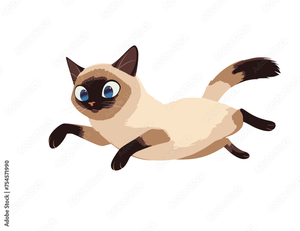 Siamese kitten during a jump, vector illustration Siamese kitten during a jump, vector illustration