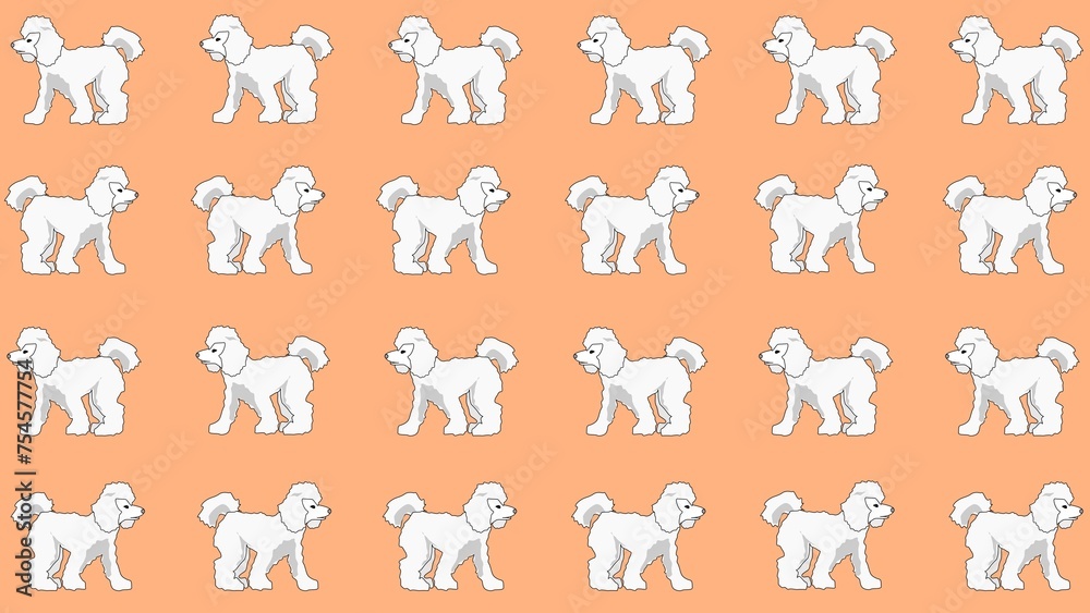 Fototapeta premium pattern with poodle dogs