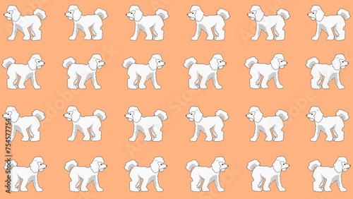 Fototapeta Naklejka Na Ścianę i Meble -  pattern with poodle dogs