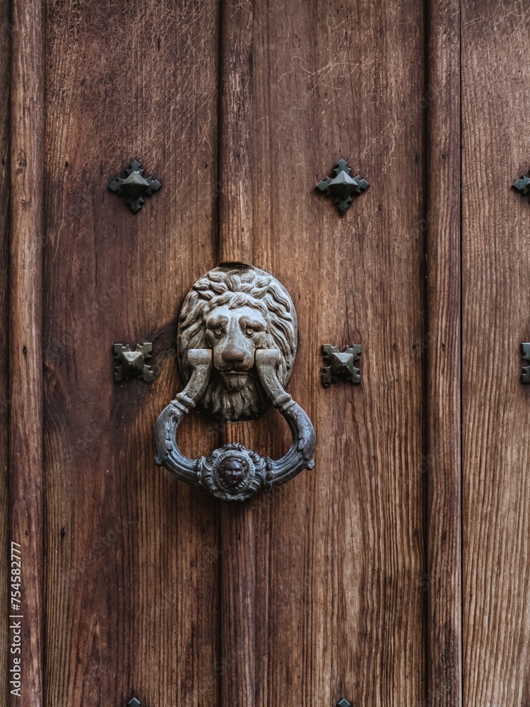 A lion head style vintage old door knocker on a wooden door