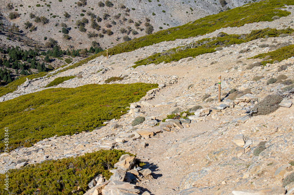 Hiking trail to peak Torrecilla, Sierra de las Nieves national park, Andalusia, Spain Hiking trail to peak Torrecilla, Sierra de las Nieves national park, Andalusia, Spain
