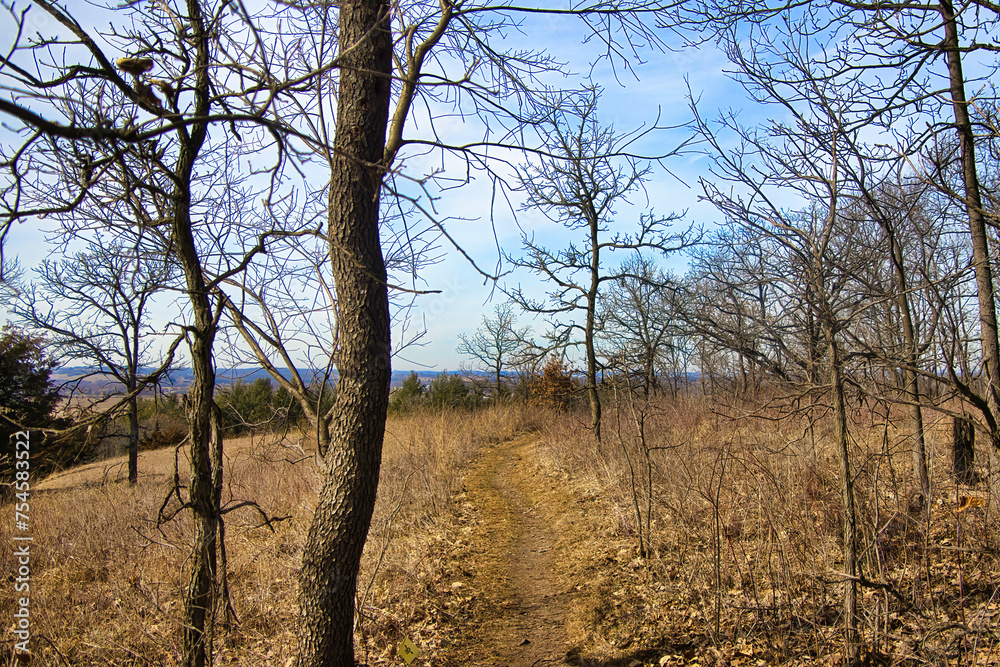 The bright blue sky adds a splash of color to a drab late-Winter landscape along the Ice Age Trail in the wooded hills near Cross Plains, Wisconsin.