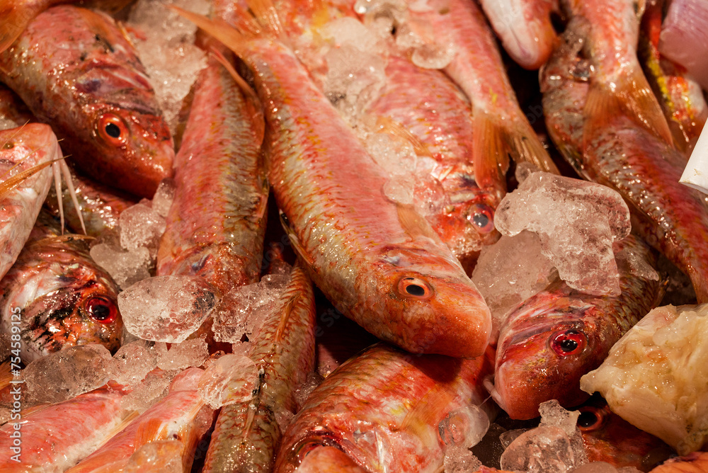 fish market with many different fresh fishes fish market with many different fresh fishes