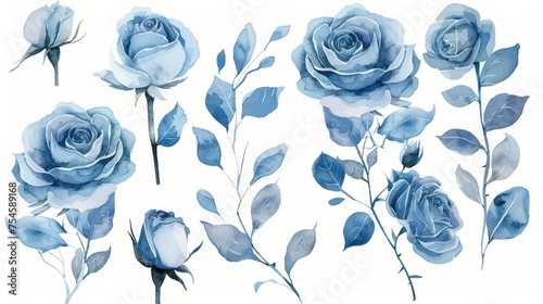 Elegant blue rose flower and leaves set with watercolor style for background. AI generated