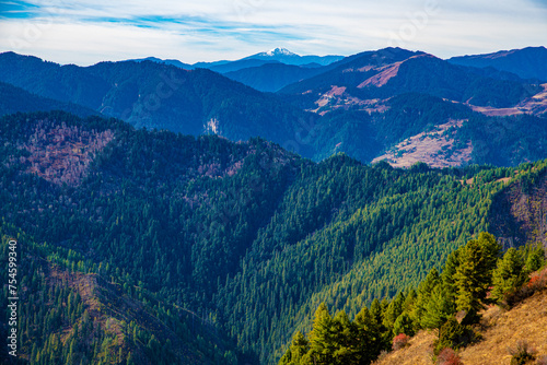 Verdant Slopes and Distant Peaks: A View from Murma Top, Nepal