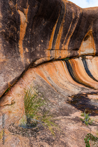 Curved wall of huge gnamma hole at Beringbooding Rock.  A granite rock formation north east of Mukinbudin in the eastern Wheatbelt region of Western Australia. photo