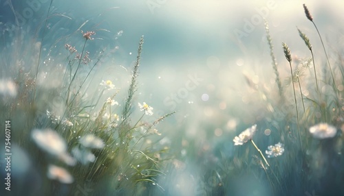 melancholic meadow of swaying grasses and wildflowers in the mist