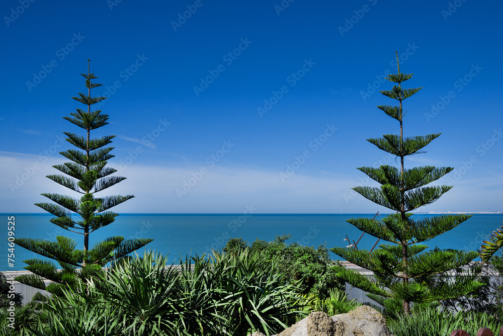 In the photo you can see some palm trees and view on a see