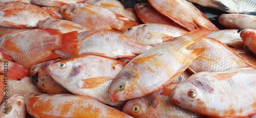 Fresh raw fish sale at traditional market. Fish vibrant color background