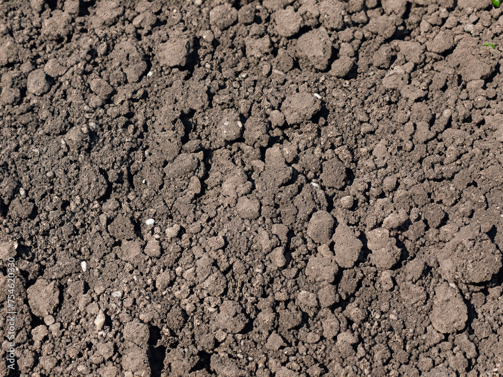 soil background texture. top view of the ground. soil background texture. top view of the ground.