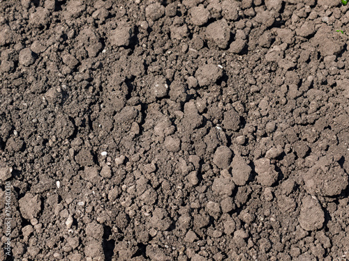 soil background texture. top view of the ground.