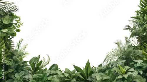 Tropical leaves foliage plant bush floral border isolated on clear png background and transparent background. Fresh and nature concept for nature decorative and flower element  AI generative.