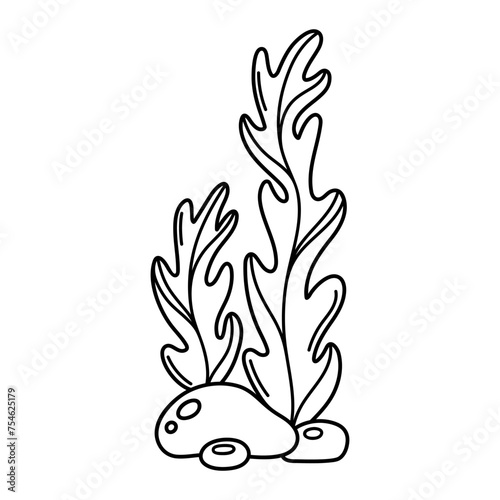 Algae vector icon. Edible sea grass, kelp. Ocean seaweed on the seabed among the stones. Aquatic reef plant. Hand drawn black and white doodle, sketch. Simple isolated clipart for print, web