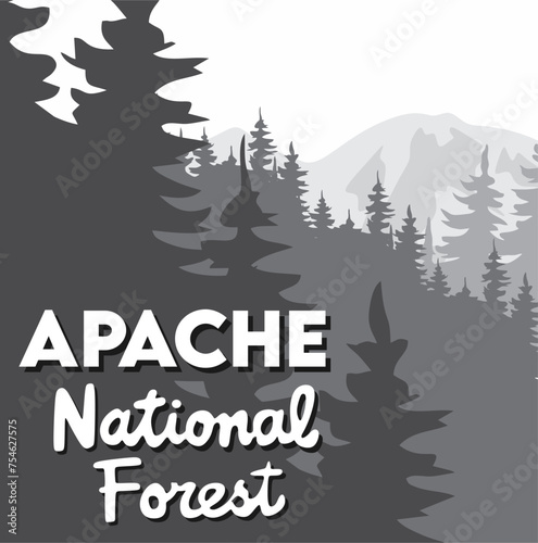 Apache National Forest United States