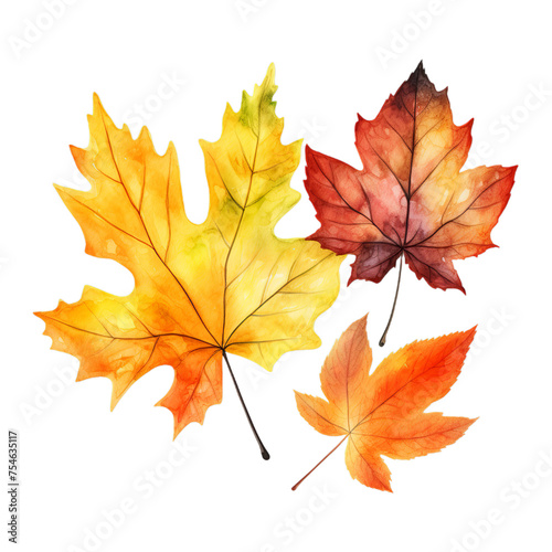 illustration of autumn maple leaf  Isolated on transparent PNG background  Generative ai