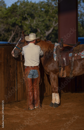 Cowboy Horse Trainer
