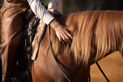 Petting a horse mane