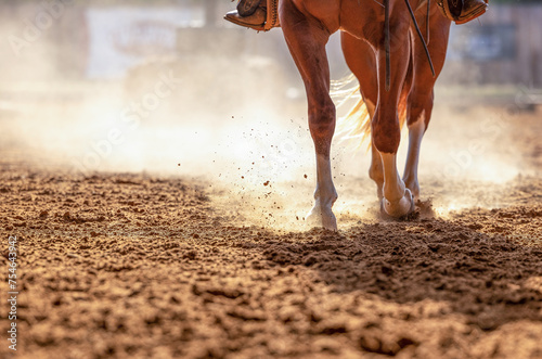 Horse legs in a dirt Arena with backlit dust