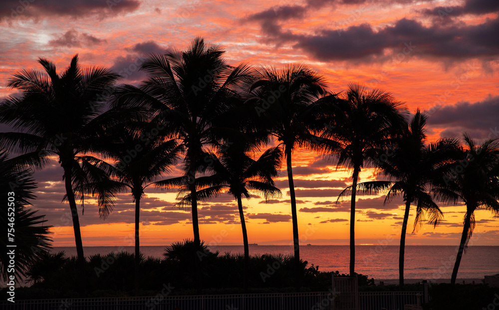 Obraz premium Coconut palms on sand beach in tropic on sunset. Miami, Florida