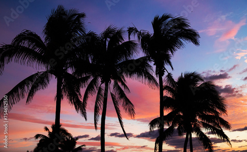 Silhouettes of palm trees at sunrise