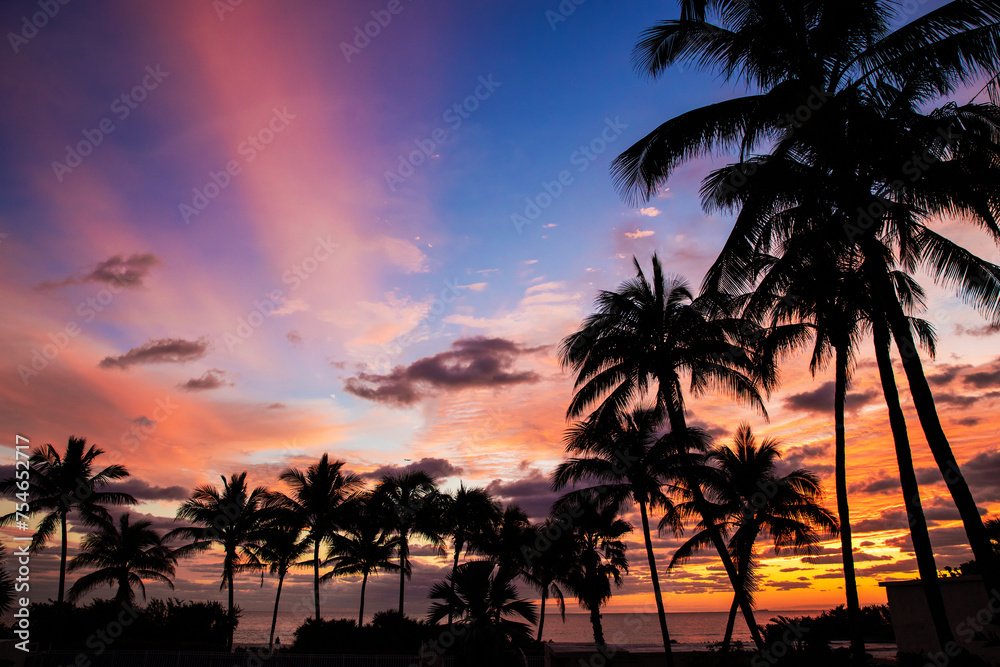 Silhouettes of palm trees at sunrise. 